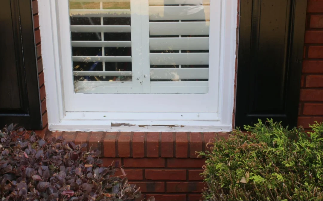 Dry Rot Repair vs. Window Replacement Cost: Why Most Homeowners Don’t Need to Replace
